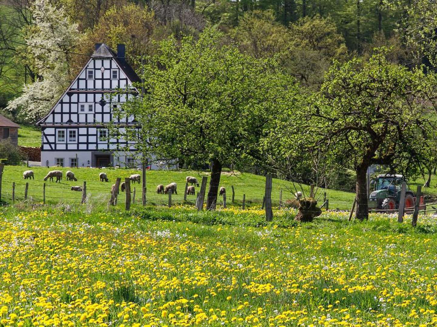 3 Tage |  Kurzurlaub in Winterberg - Auszeit vom Alltag inkl. 4 Gang Menü