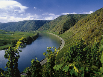 Urlaub beim Winzer an der Mosel 