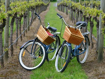 Urlaub beim Winzer an der Mosel 