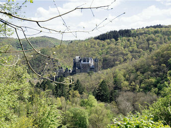 Urlaub beim Winzer an der Mosel 