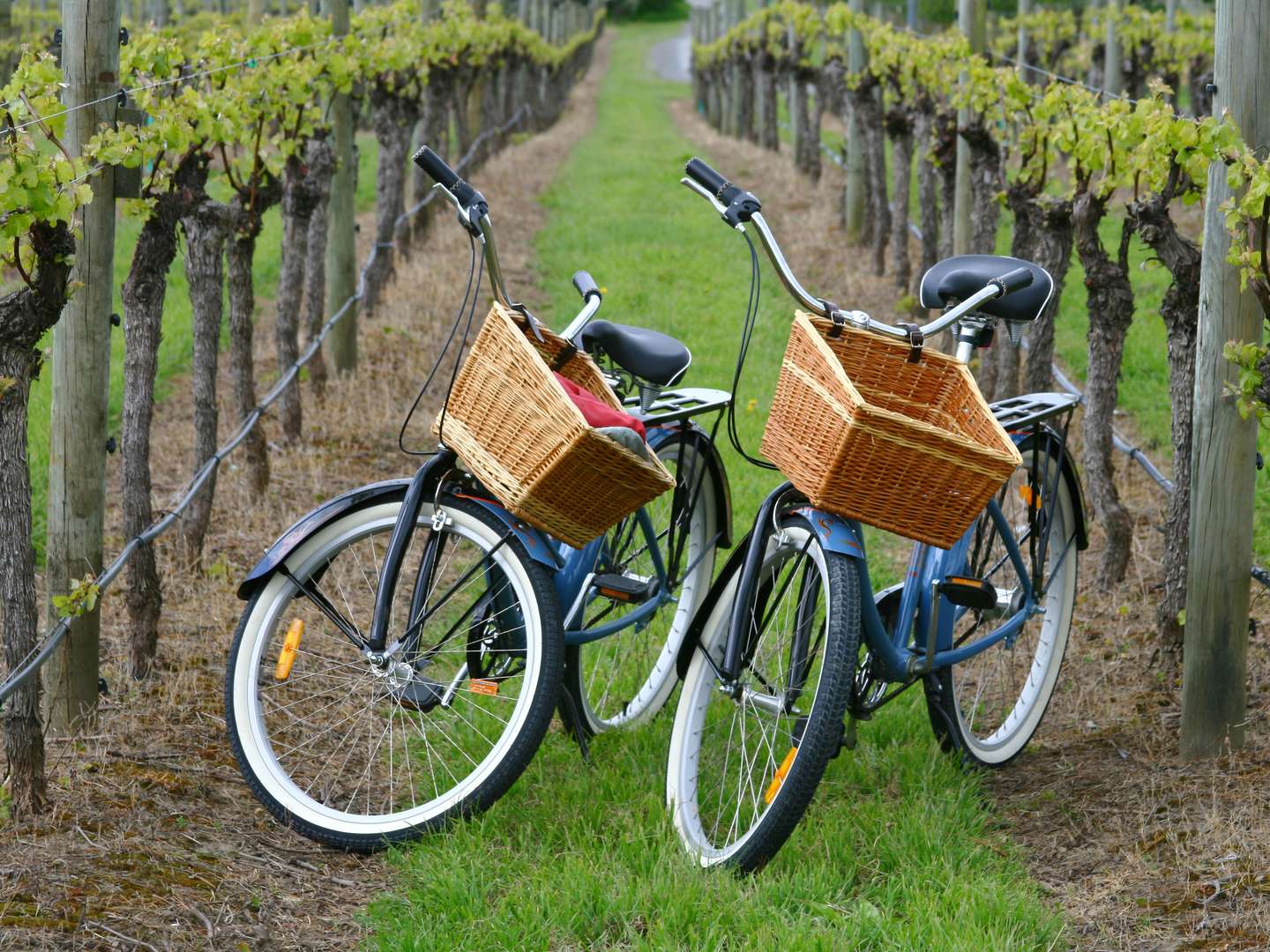 Urlaub beim Winzer an der Mosel 