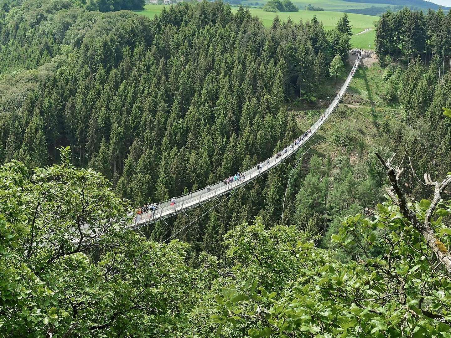 Urlaub beim Winzer an der Mosel 