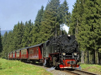 6 Romantische Erlebnistage - Natur pur im Oberharz inkl. Halbpension Ferienwohnung  