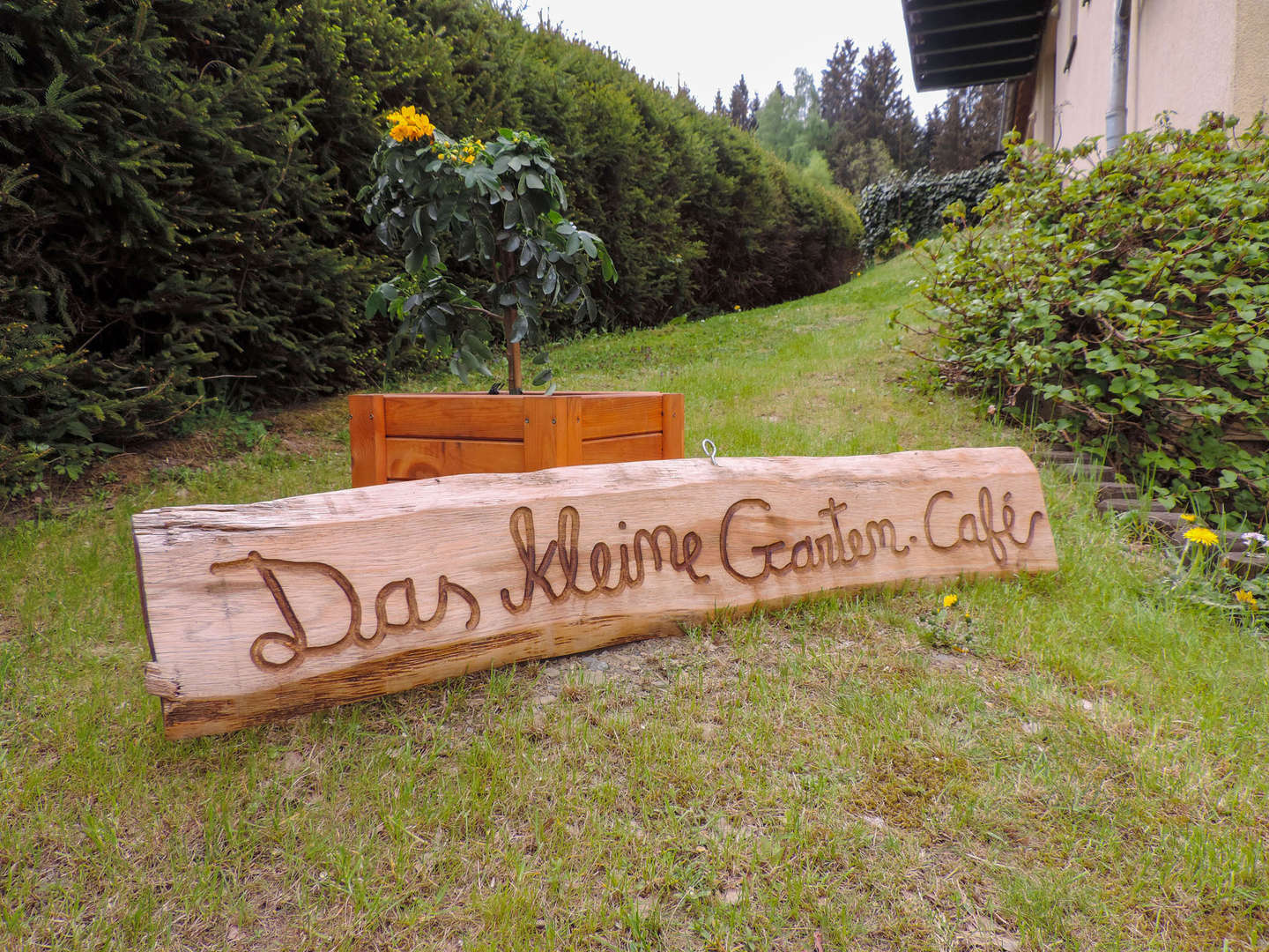 6 Romantische Erlebnistage - Natur pur im Oberharz inkl. Halbpension Ferienwohnung  