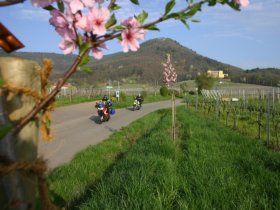 Auf den Spuren König Ludwigs | 3 Tage inkl. HP, Weinprobe & PfalzCard