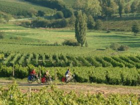 Auf den Spuren König Ludwigs | 3 Tage inkl. HP, Weinprobe & PfalzCard