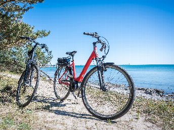 Urlaub mit Ihrem Hund - 3 entspannte Tage mit Ihrem Vierbeiner auf der Insel Rügen