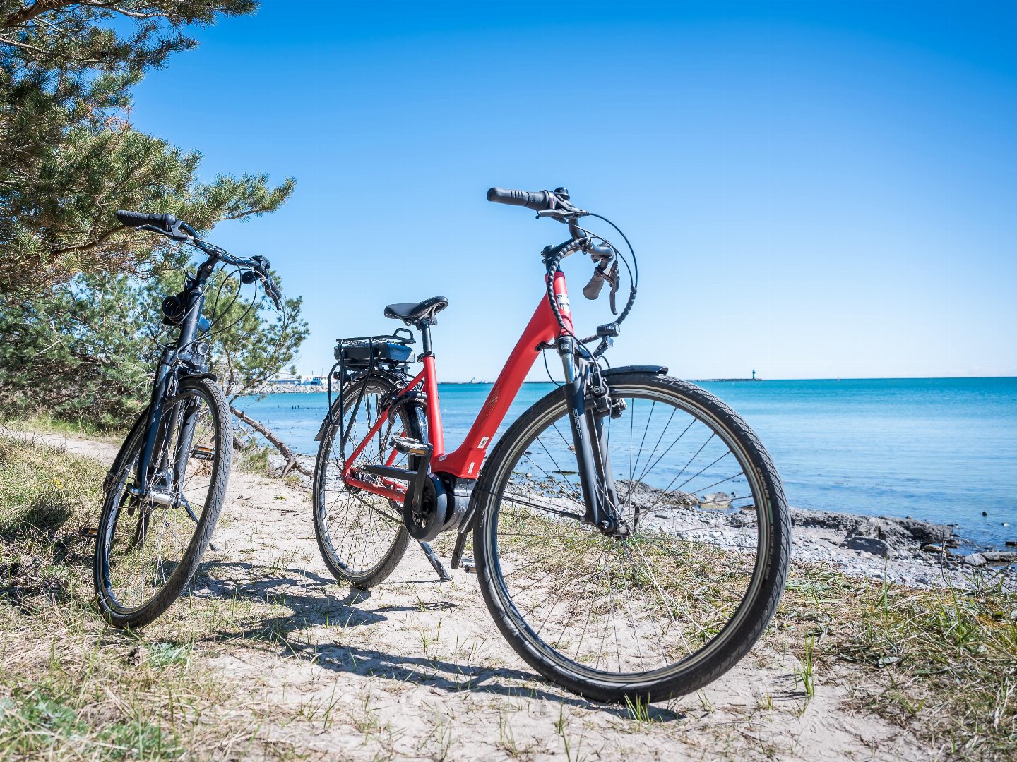 Urlaub mit Ihrem Hund - 3 entspannte Tage mit Ihrem Vierbeiner auf der Insel Rügen