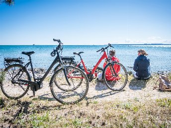 Urlaub mit Ihrem Hund - 3 entspannte Tage mit Ihrem Vierbeiner auf der Insel Rügen