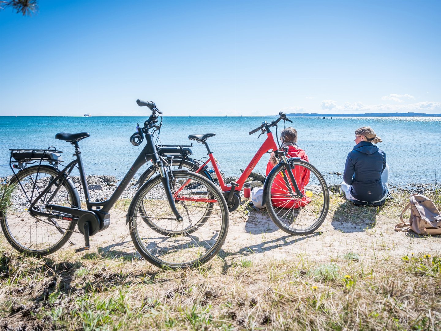 Urlaub mit Ihrem Hund - 3 entspannte Tage mit Ihrem Vierbeiner auf der Insel Rügen