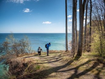 Urlaub mit Ihrem Hund - 3 entspannte Tage mit Ihrem Vierbeiner auf der Insel Rügen