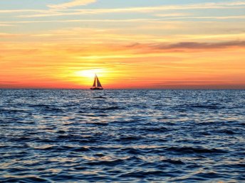 Urlaub mit Ihrem Hund - 3 entspannte Tage mit Ihrem Vierbeiner auf der Insel Rügen