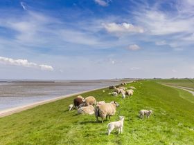 2 Tage Einfach mal Pellworm - Kurz & Gut inkl. Abendessen