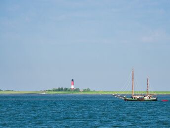 4 Tage Pellworm - Meer und Land in Perfekter Harmonie inkl. 1 x Abendessen