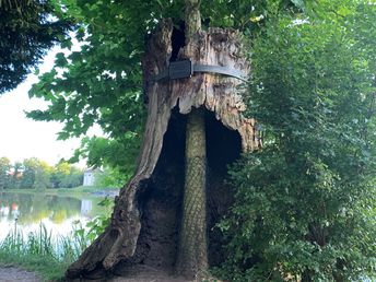 Liebe & Romantik- 3 Tage im Wörlitzer Gartenreich im Venedig Anhalt's