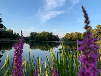 Liebe & Romantik- 3 Tage im Wörlitzer Gartenreich im Venedig Anhalt's