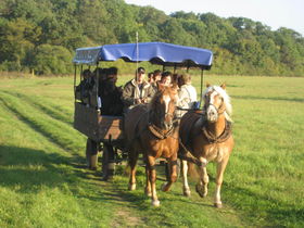 Silvester-Erlebnistage im Wörlitzer Gartenreich mit Silvestergala