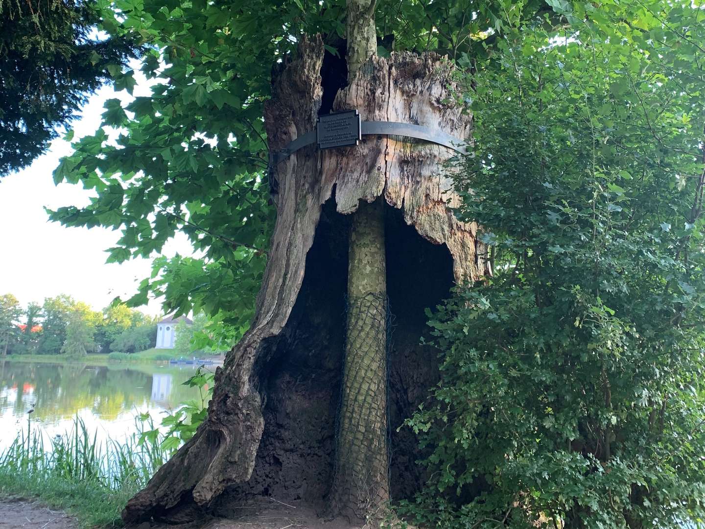 Liebe & Romantik- 3 Tage im Wörlitzer Gartenreich im Venedig Anhalt's