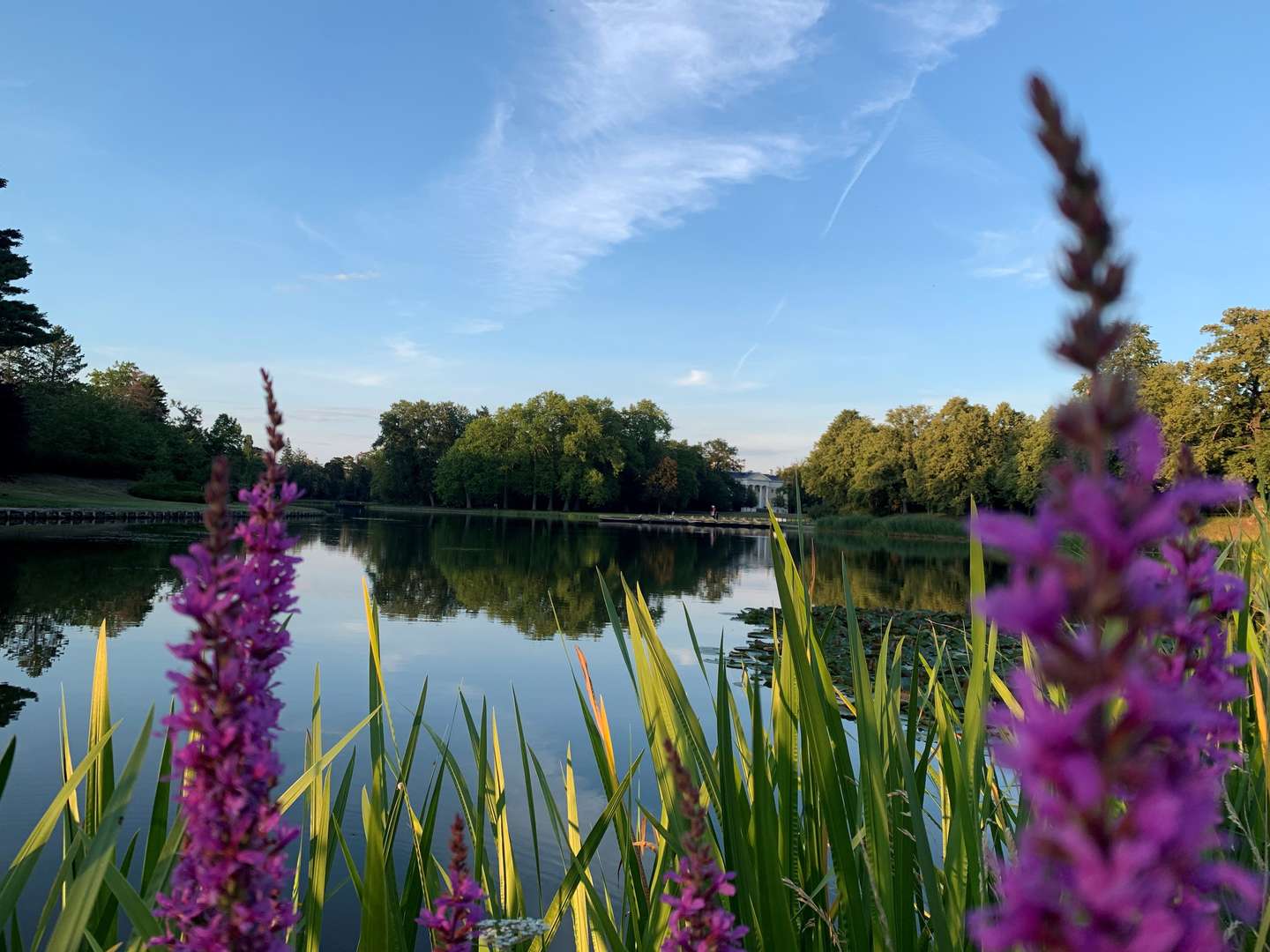 Liebe & Romantik- 3 Tage im Wörlitzer Gartenreich im Venedig Anhalt's