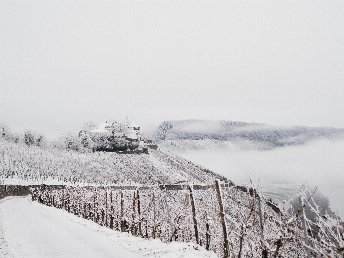 Winterurlaub an der Mosel 4 Tage inkl. 4-Gang Genuss-Menü