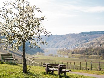 Winterurlaub an der Mosel 4 Tage inkl. 4-Gang Genuss-Menü