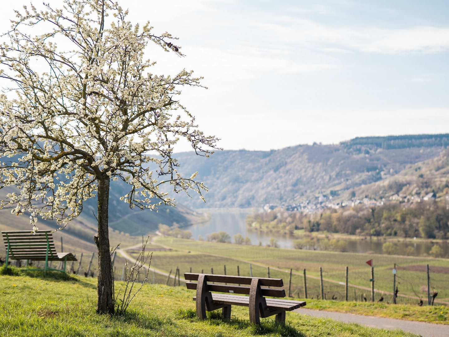 Winterurlaub an der Mosel 4 Tage inkl. 4-Gang Genuss-Menü
