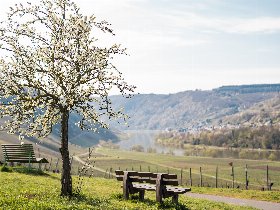 Winterurlaub an der Mosel 4 Tage inkl. 4-Gang Genuss-Menü