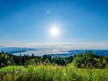 Heimathafen in Konstanz am Bodensee