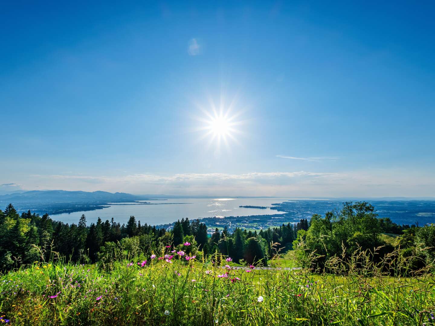 Heimathafen in Konstanz am Bodensee