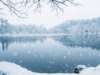 Wunderbare Weihnachtszeit im Saarland  4 Tage / 3 Nächte 