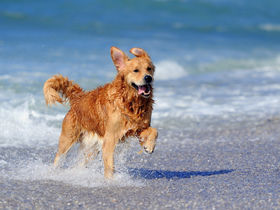 Kurzurlaub an der Meckl. Seenplatte inkl. 1 x Eintritt Spielewelt I 5 Nächte