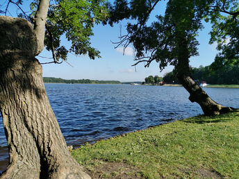 Auszeit an der Meckl. Seenplatte inkl. Kaminholz