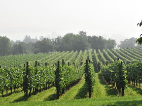 Golfplatz-Hopping hoch 2 am Bodensee