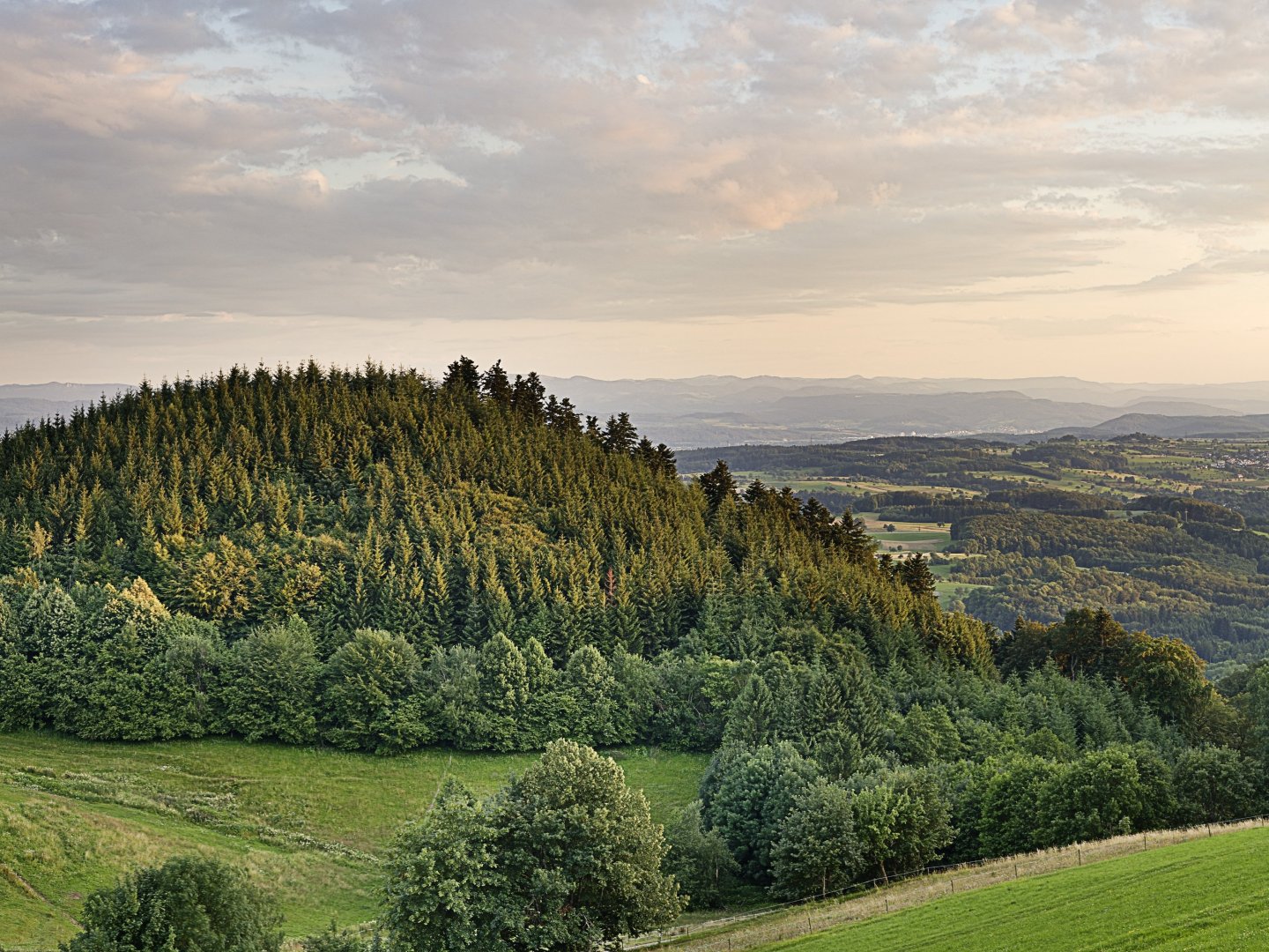 2 Tage - Urlaub im Markgräfler Traditionshotel     