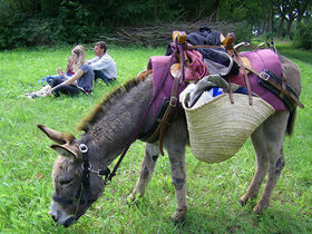 Kurzurlaub im Blumendorf am Niederrhein 5 Tage