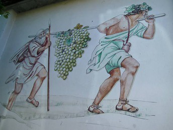 4=3 Frühling an der Mosel - 4 Übernachtungen zum Preis von 3!