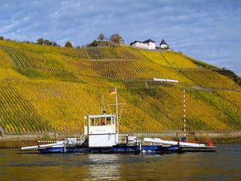 4=3 Frühling an der Mosel - 4 Übernachtungen zum Preis von 3!
