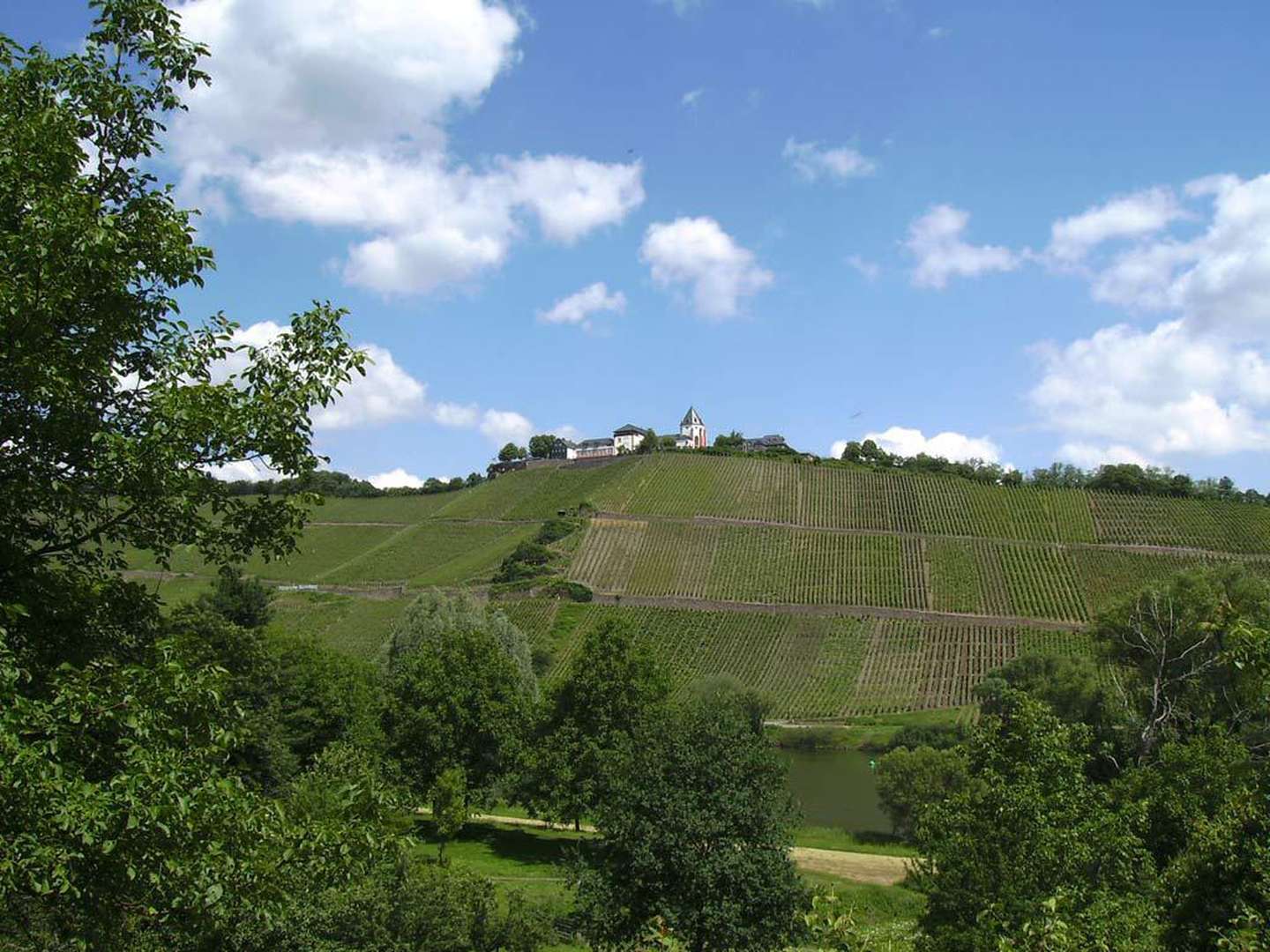 4=3 Frühling an der Mosel - 4 Übernachtungen zum Preis von 3!