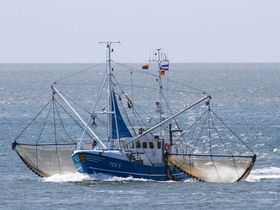 3 Tage Kurzurlaub in Nordfriesland - inkl. Abendessen
