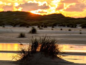 3 Tage Kurzurlaub in Nordfriesland - inkl. Abendessen