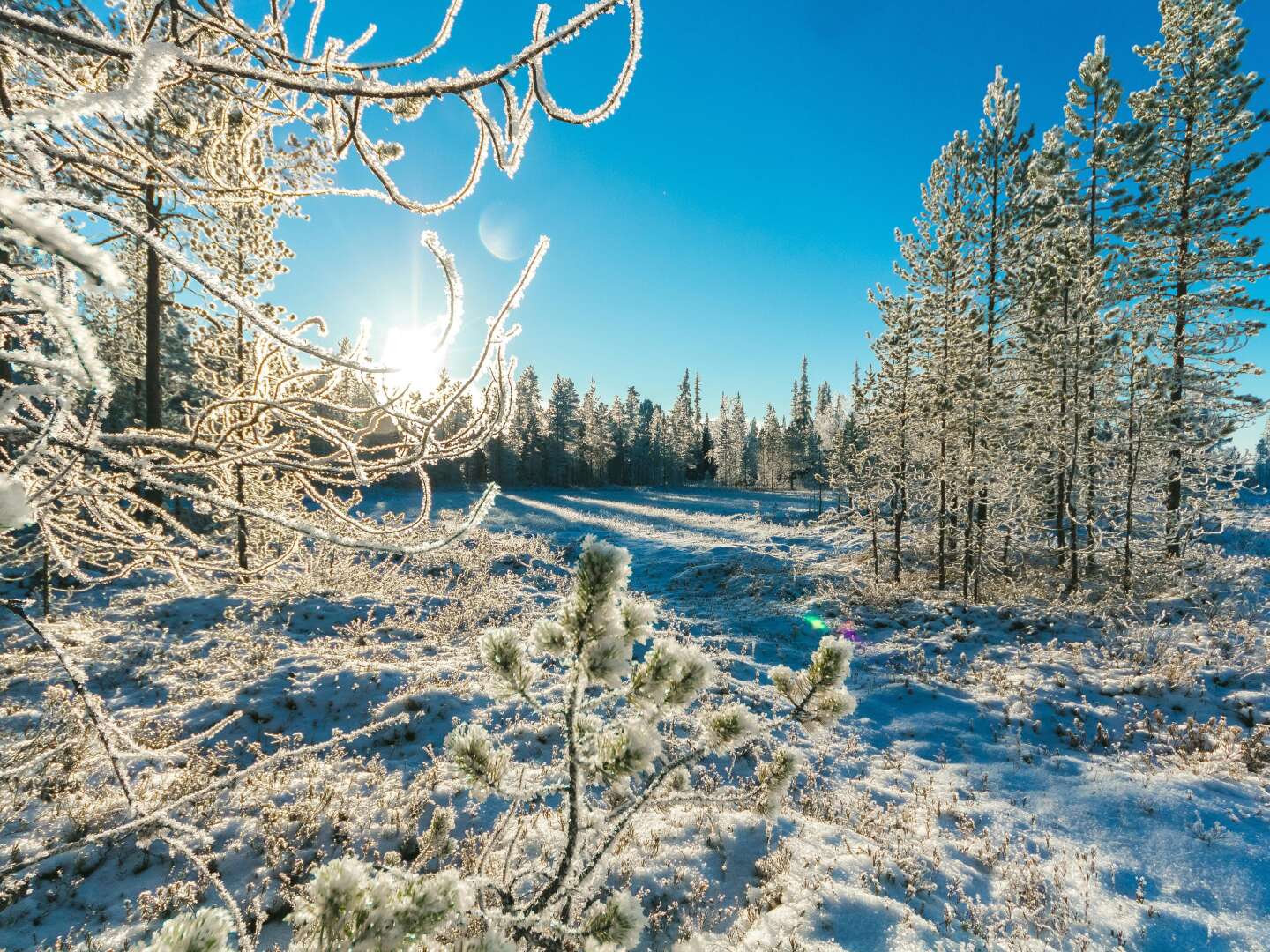 Eifel erleben - 5 Tage Natur pur