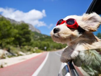 Eifel erleben - 5 Tage Natur pur