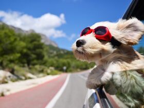 Wellness am Sonntag - Fast geschenkt! 2 Tage in der Eifel ab 44,50 EUR