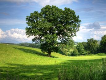 Eifel erleben - 5 Tage Natur pur