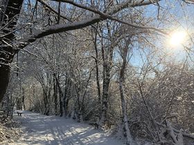 HanseSail 2026 erleben!