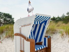 Unvergesslicher Kurzurlaub auf Usedom