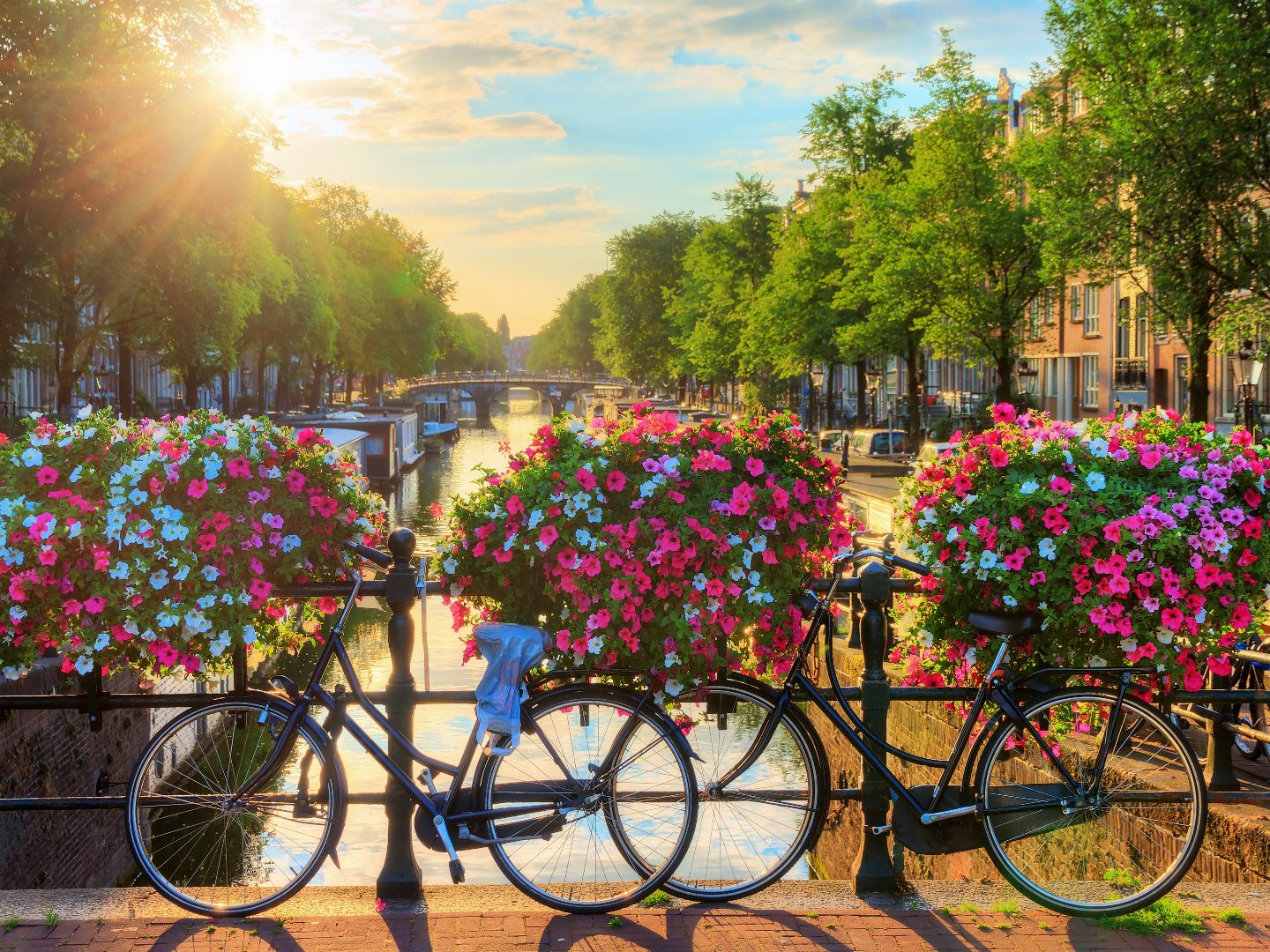 Drei Tage Amsterdam Fahrradpaket