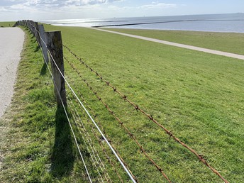 3 Tage Nordfriesland Winter Ahoi