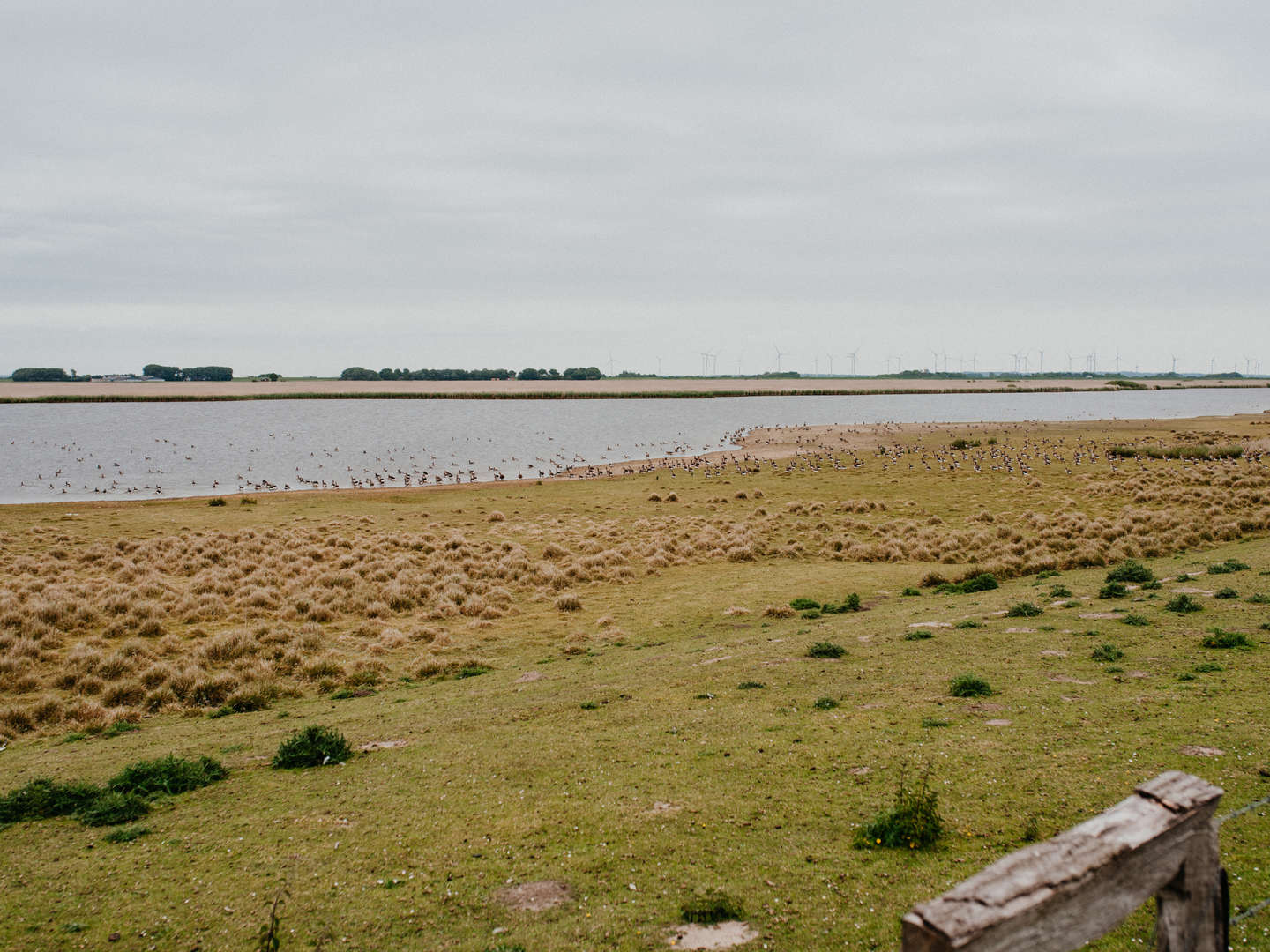 3 Tage Nordfriesland Winter Ahoi