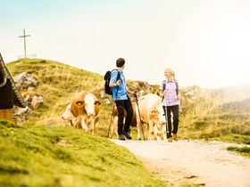  Skifahrer:innen Angebot mit Frühstück | 2 Nächte